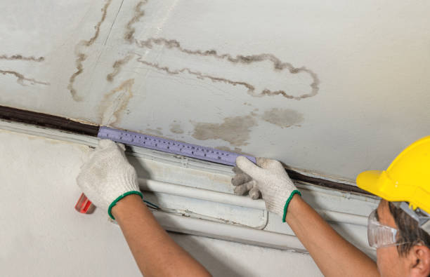 24/7 Emergency Structural Drying experts in Egypt, TX