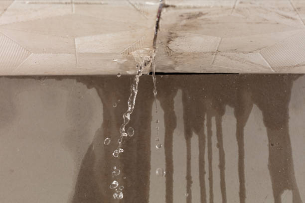Professional Structural Drying technician working in Egypt, TX